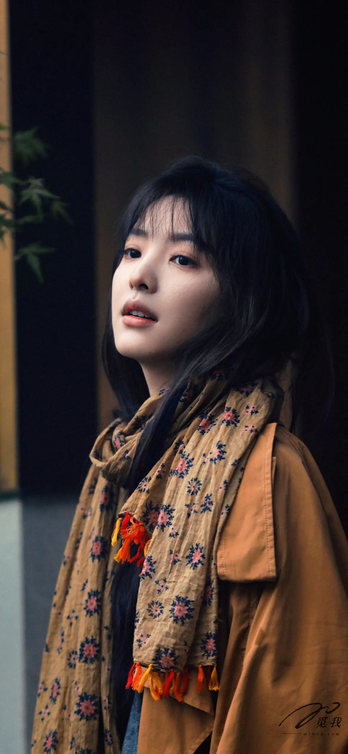 图片[32]-美图分享：章若楠 壁纸  蓝色衬衫，温柔中透着点点忧郁。-觅影网