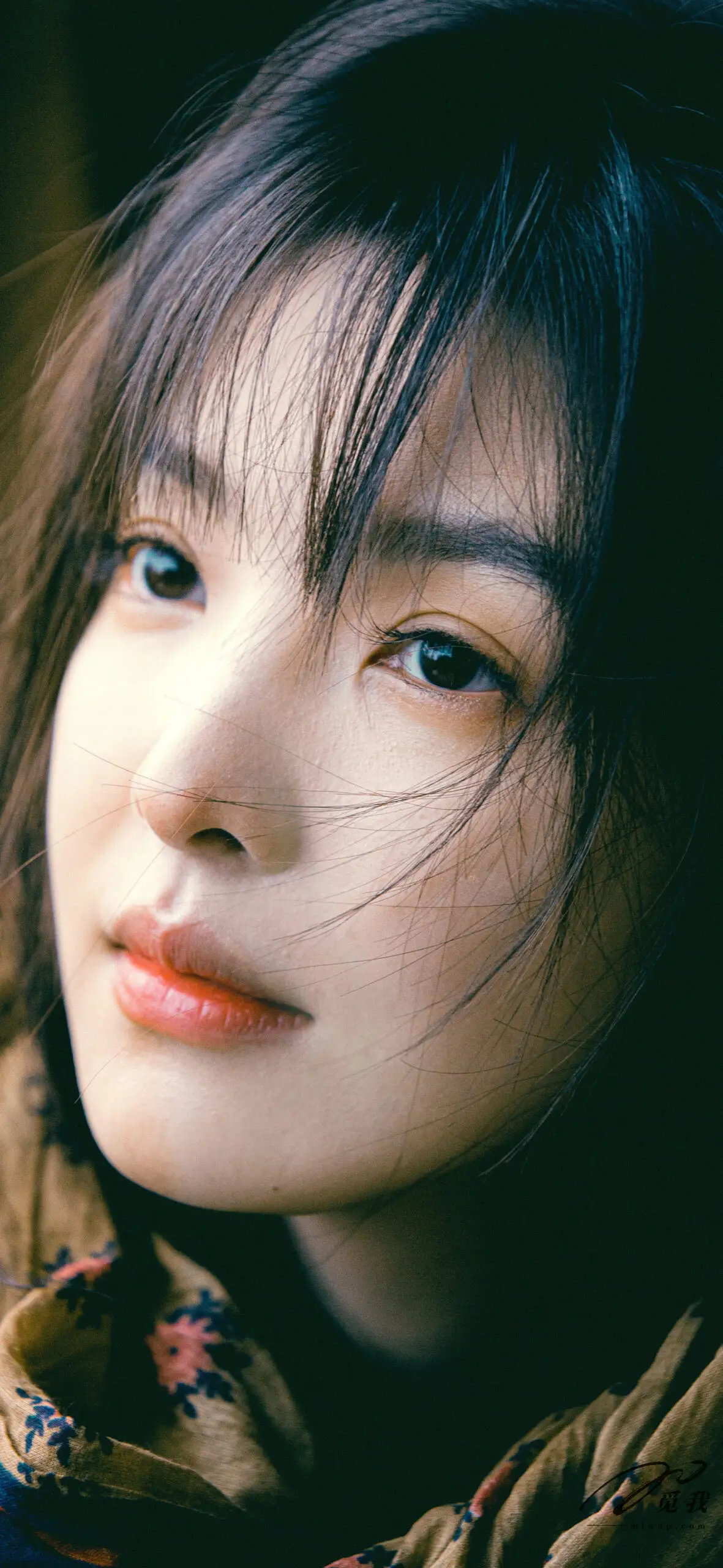 图片[41]-美图分享：章若楠 壁纸  蓝色衬衫，温柔中透着点点忧郁。-觅影网