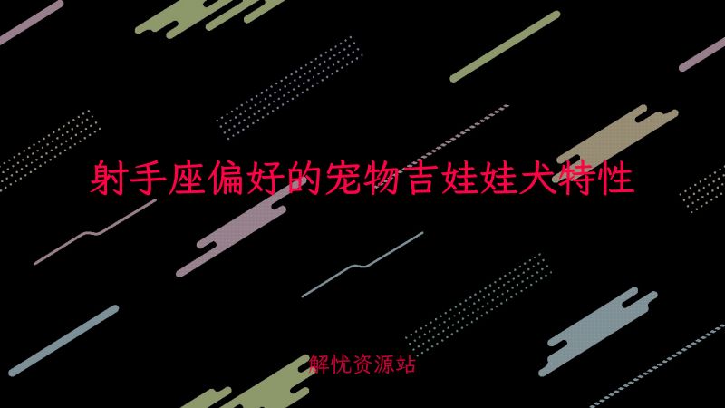 射手座偏好的宠物吉娃娃犬特性-解忧资源站