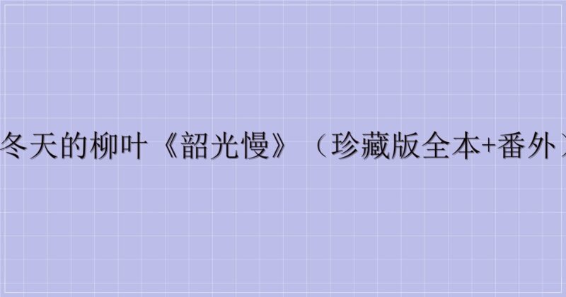 冬天的柳叶《韶光慢》（珍藏版全本+番外）-解忧资源站