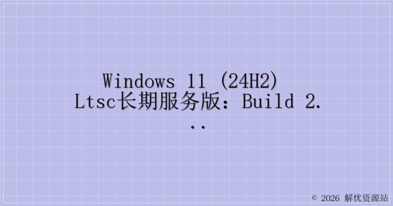 Windows 11 (24H2) LTSC长期服务版:Build 26100的深度剖析与魅力展现-解忧资源站