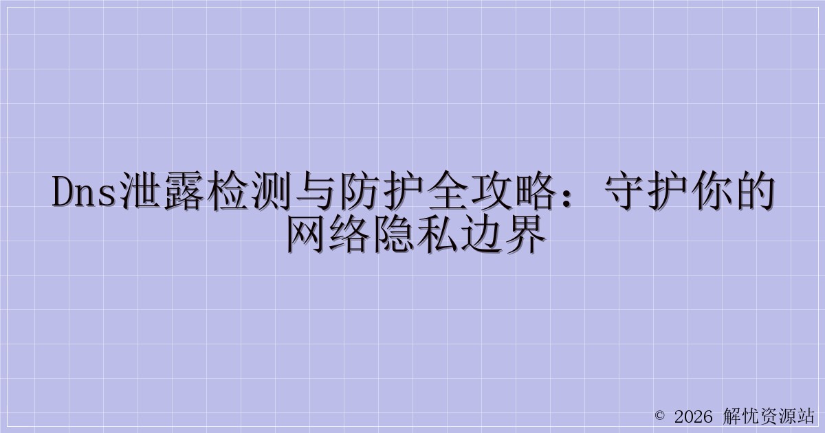 DNS泄露检测与防护全攻略：守护你的网络隐私边界-解忧资源站