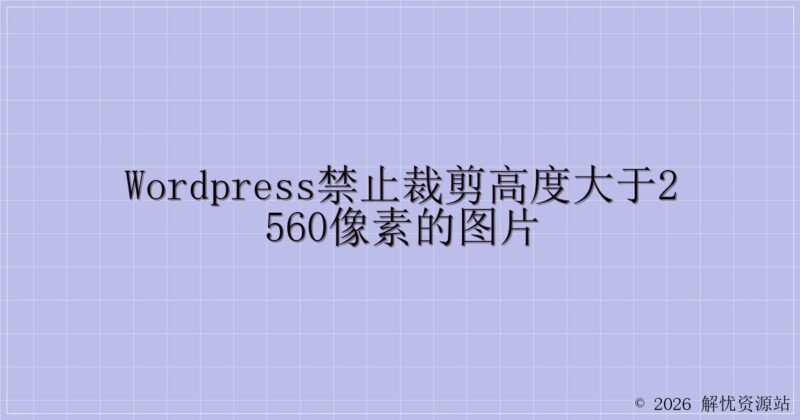 WordPress禁止裁剪高度大于2560像素的图片-解忧资源站