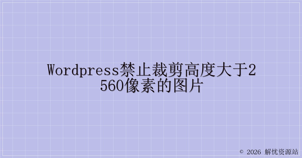 WordPress禁止裁剪高度大于2560像素的图片-解忧资源站