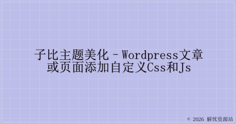 子比主题美化–WordPress文章或页面添加自定义CSS和JS-解忧资源站