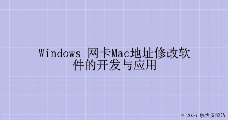 Windows 网卡MAC地址修改软件的开发与应用-解忧资源站