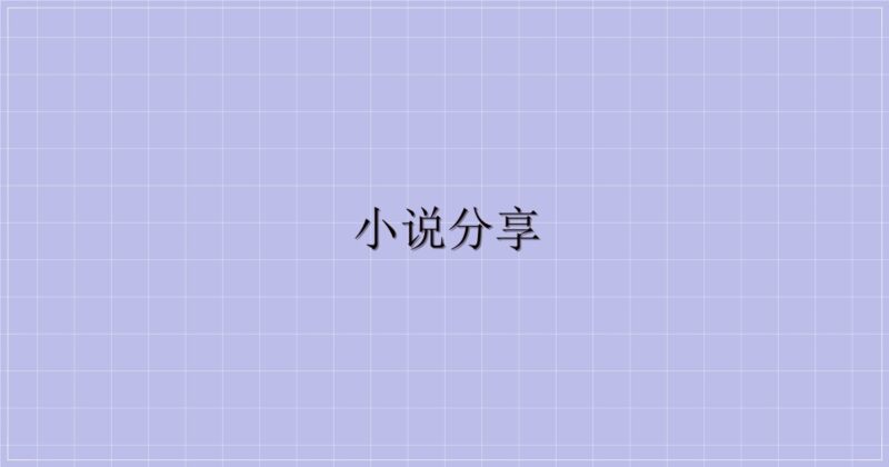 小说分享-解忧资源站