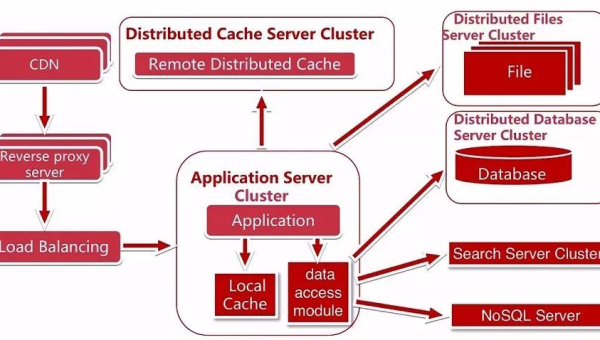 服务器配置与网站 SEO:优化性能提升排名