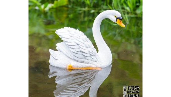 院子里养天鹅的风水讲究-解忧资源站