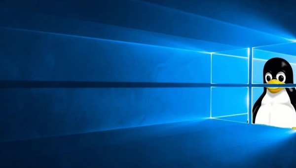 linux和windows软件一样吗-解忧资源站