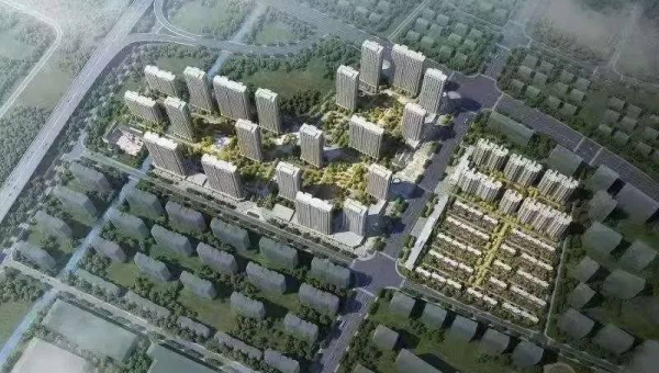 院子里种腊梅花风水怎么样-解忧资源站