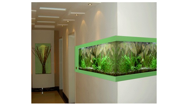 客厅放置龙鱼缸对风水好吗?