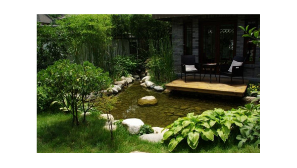 院子里种芙蓉花风水怎样-解忧资源站