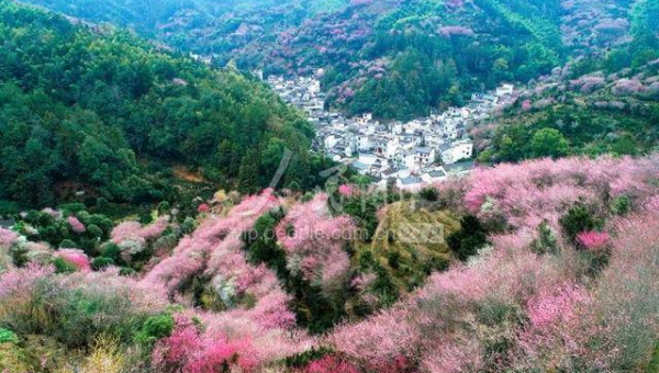 处女座如何处理生活中的细节问题?