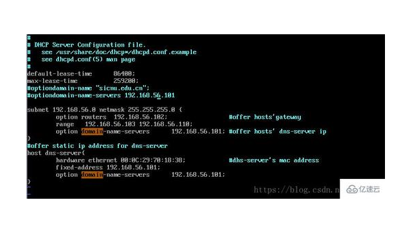 在 Linux 系统中配置 DHCP 服务器的详细步骤