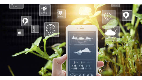 农业物联网平台:轻量级 IDE 与传感器数据处理工具链