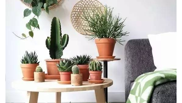 家中摆放木器的风水作用-解忧资源站