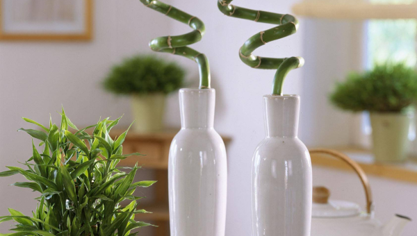 客厅摆放落地灯的风水宜忌-解忧资源站