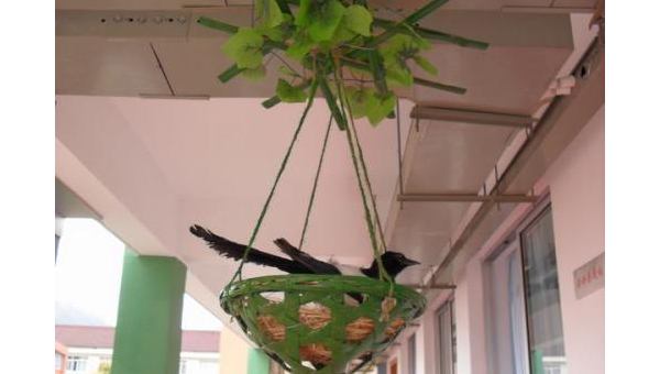 家中摆放风铃的风水作用