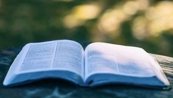 网站优化秘籍之文章标题优化：吸引流量密码-解忧资源站