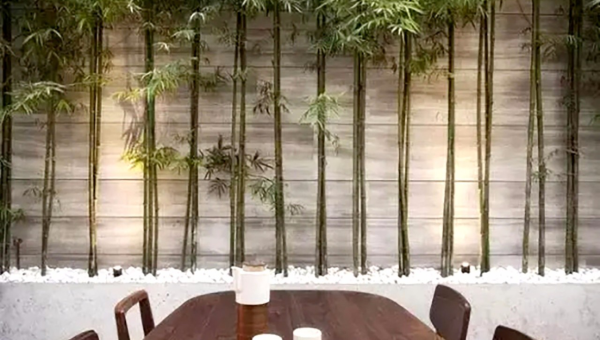 院子里种植竹子的风水好处