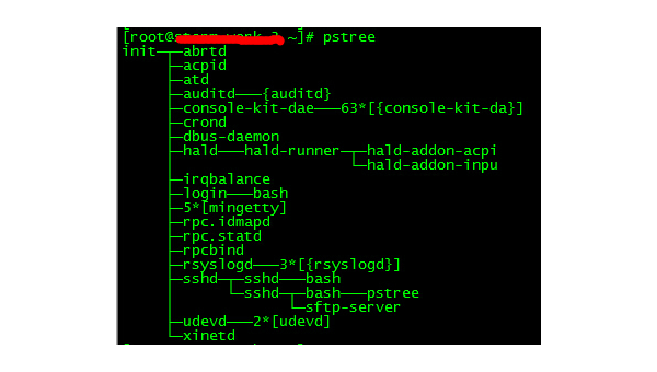 Linux 中通过 PID 查找进程的命令详解-解忧资源站