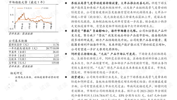 网站优化全方位:文章、标题、域名齐发力