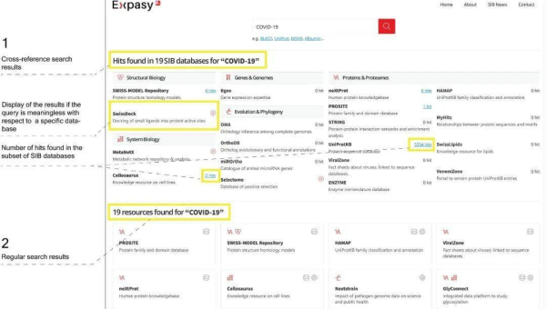 服务器选择攻略详细解读：匹配网站 SEO 需求-解忧资源站